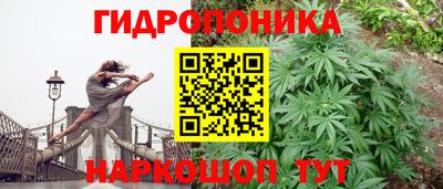 винт Свободный