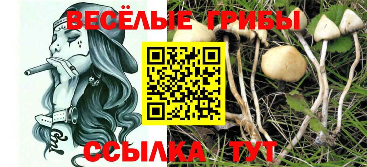Галлюциногенные грибы Magic Shrooms  Вход с VPN  Ревда 
